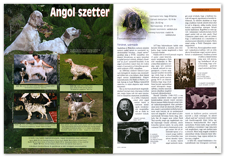 Nemzetközi Kutyamagazin - 2010. októberi száma