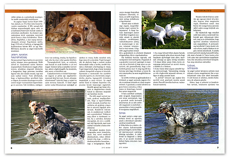 Nemzetközi Kutyamagazin - 2010. októberi száma