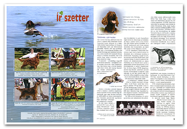Nemzetközi Kutyamagazin - 2010. augusztusi száma