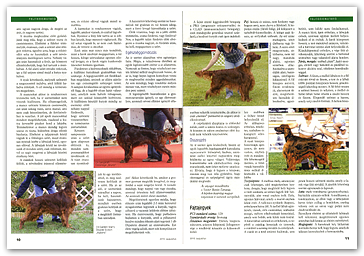 Nemzetközi Kutyamagazin - 2010. augusztusi száma